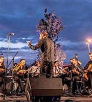 Έτσι θα γιορτάσει η Αθήνα αυτά τα Χριστούγεννα!