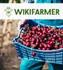 Wikifarmer: Η ελληνική... Wikipedia των αγροτών πηγαίνει Ισπανία