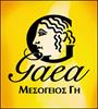 Λιγότερος τζίρος αλλά περισσότερα κέρδη για τη GAEA