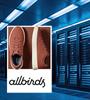 Allbirds: Aπό τα... παπούτσια στο AI με άνοδο 582% σε μία μέρα!